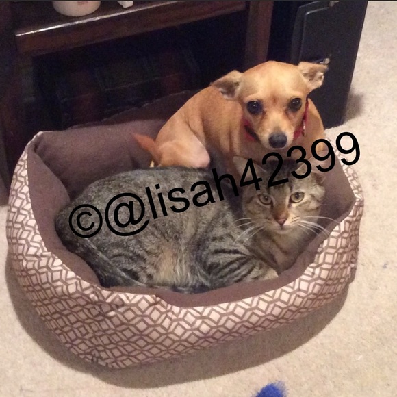 Meet your Posher, Lisa - Picture 9 of 11